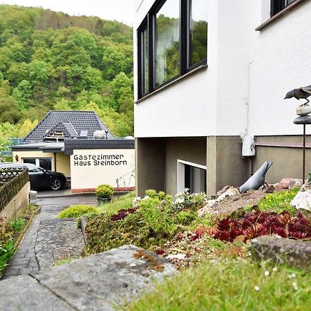 Hotel Gästehaus Steinborn Heimbach Exterior foto